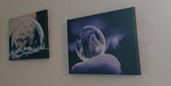 Tolle Fotos